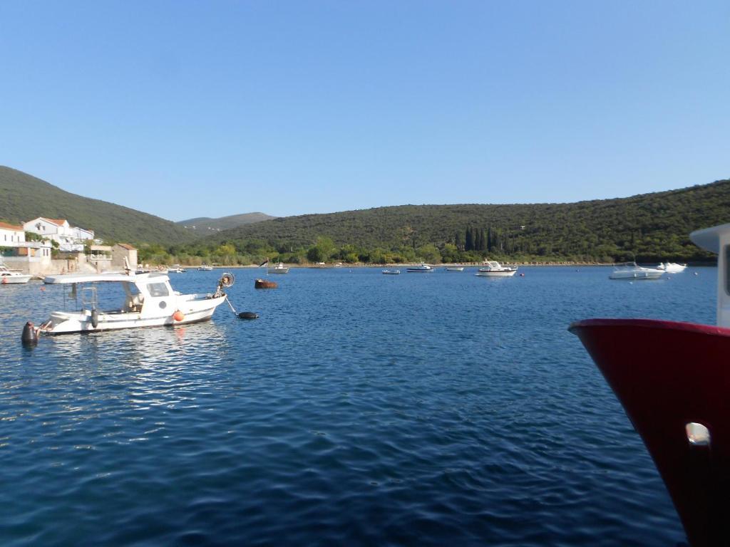 Apartments Vila Lazarevic Tivat Exterior foto