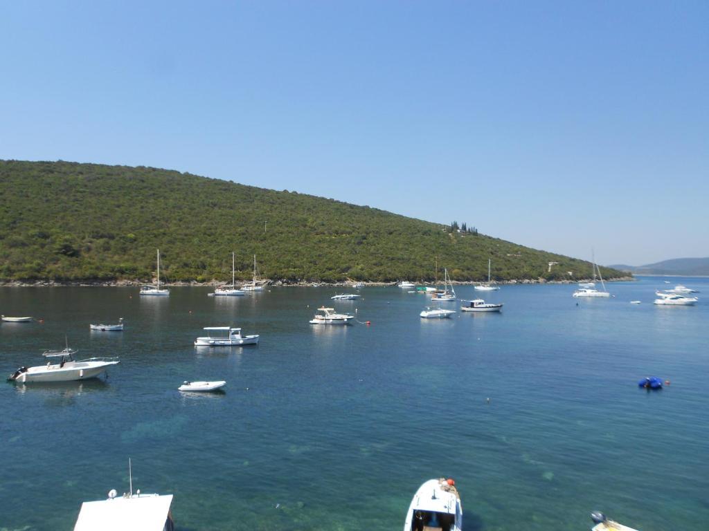 Apartments Vila Lazarevic Tivat Exterior foto